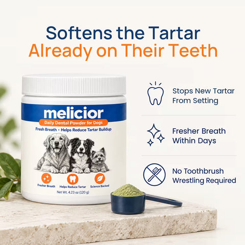 Melicior Daily Dental Powder