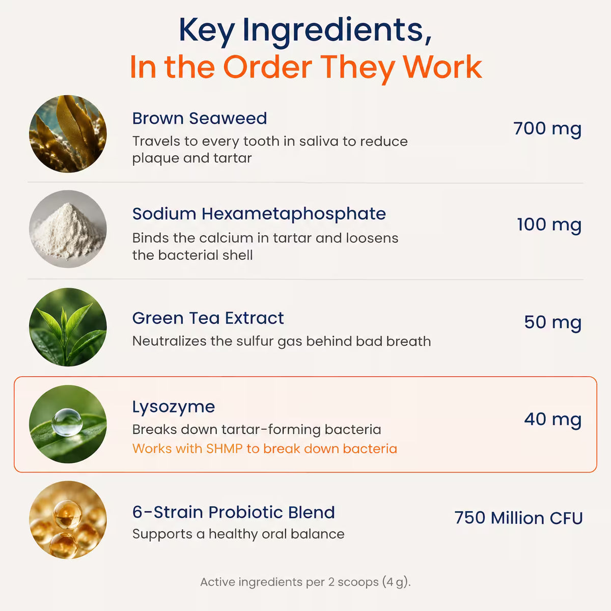 Melicior Daily Dental Powder