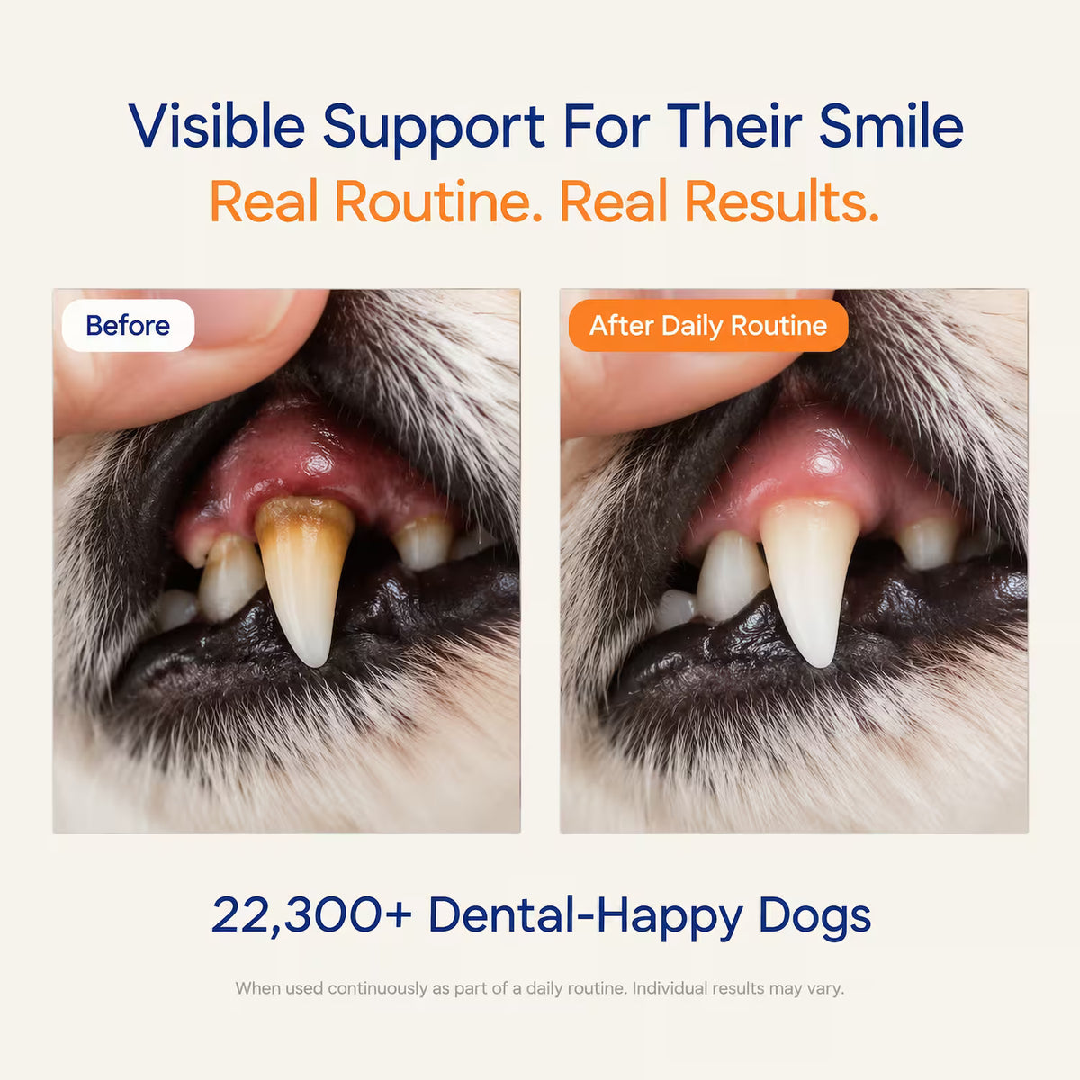 Melicior Daily Dental Powder