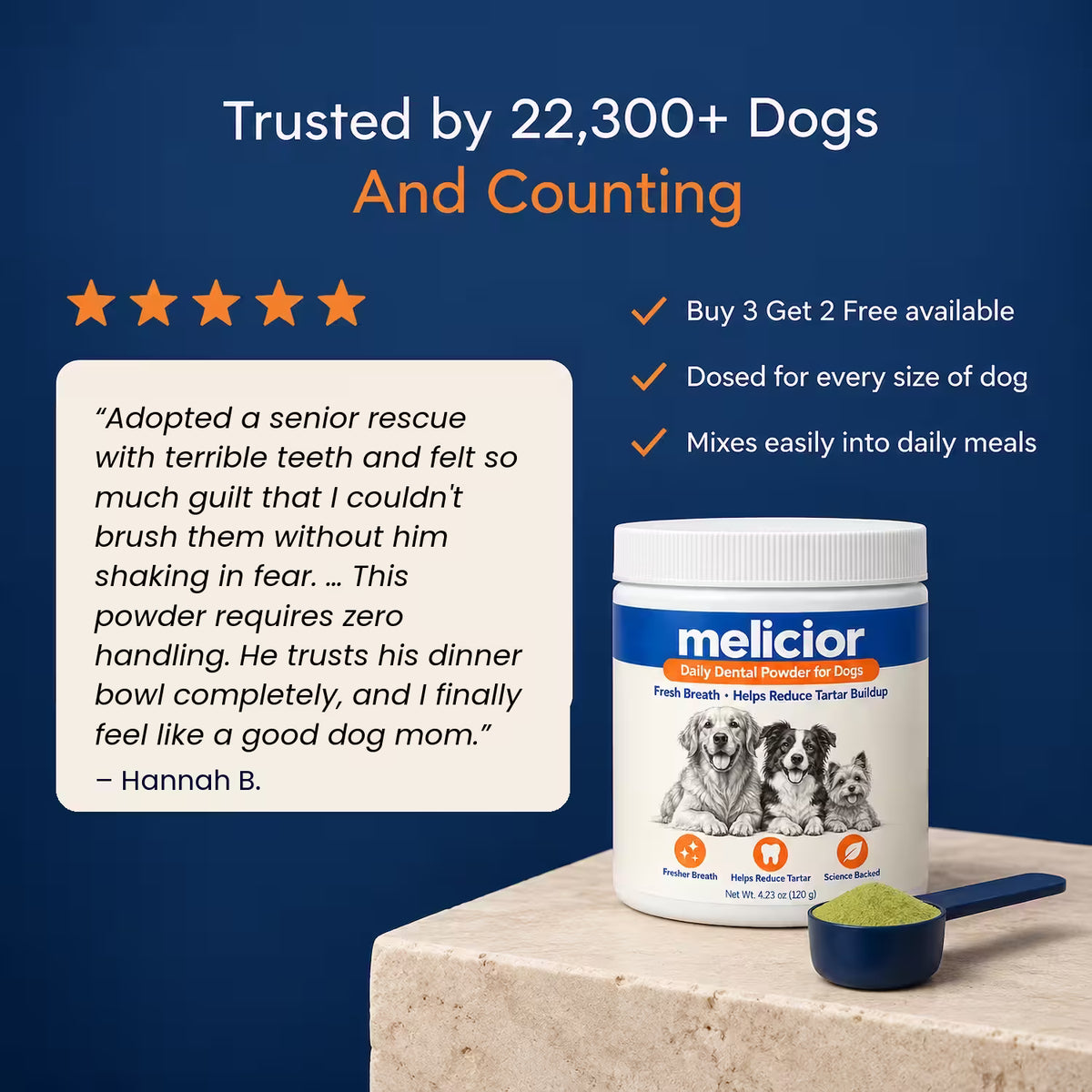 Melicior Daily Dental Powder