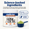 Melicior Daily Dental Powder