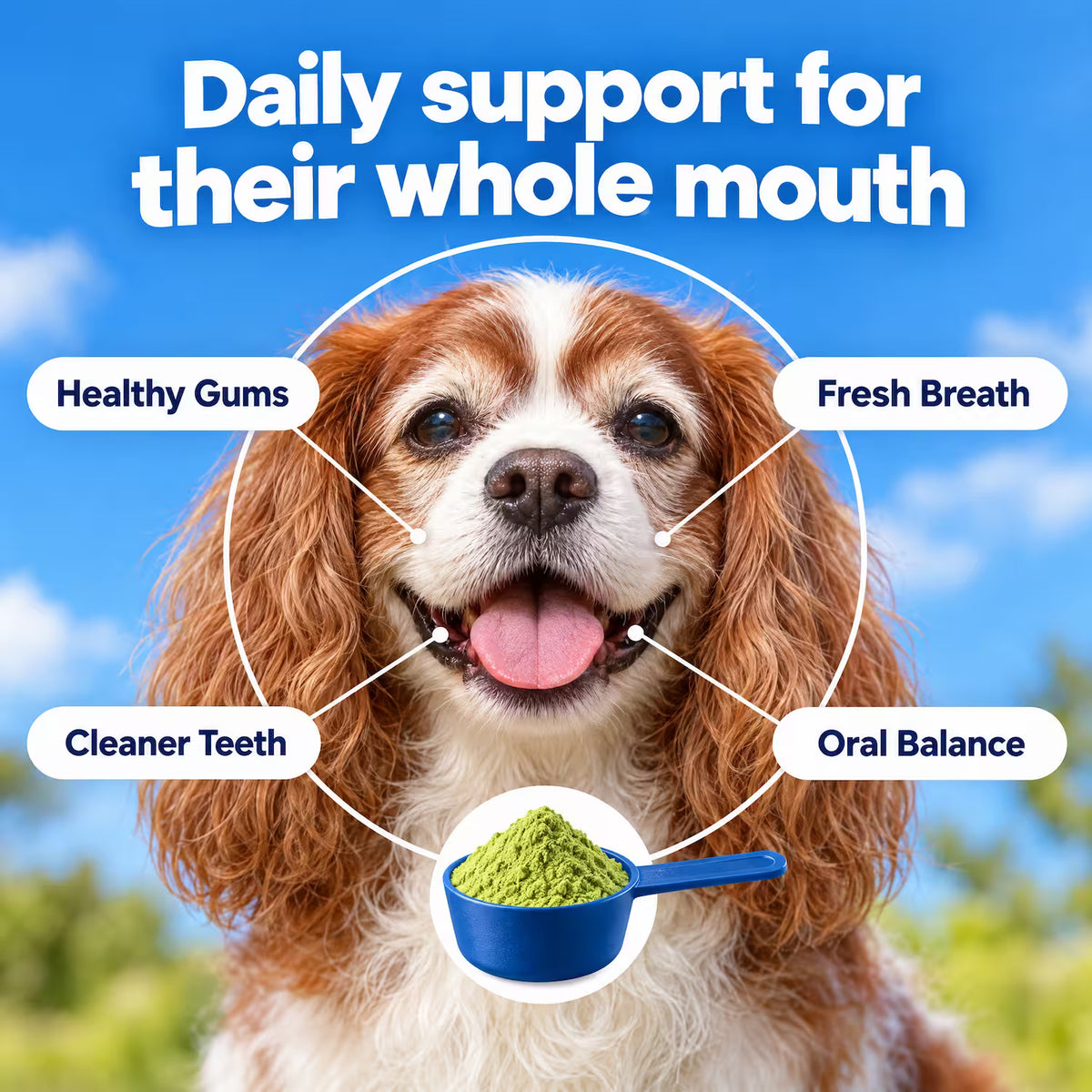 Melicior Daily Dental Powder