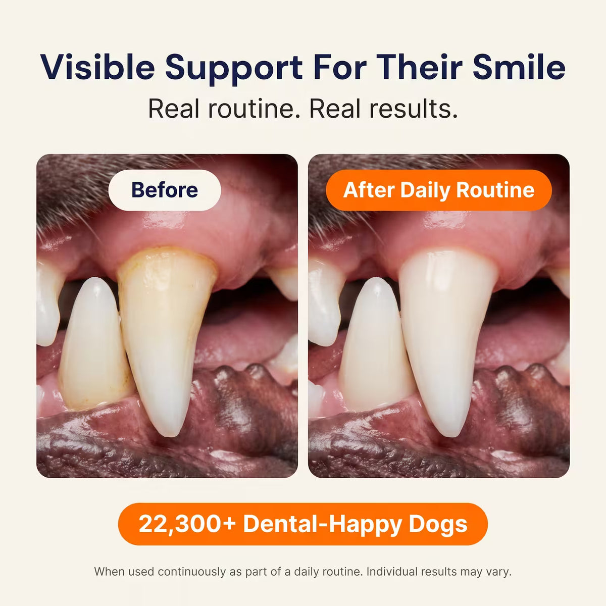 Melicior Daily Dental Powder