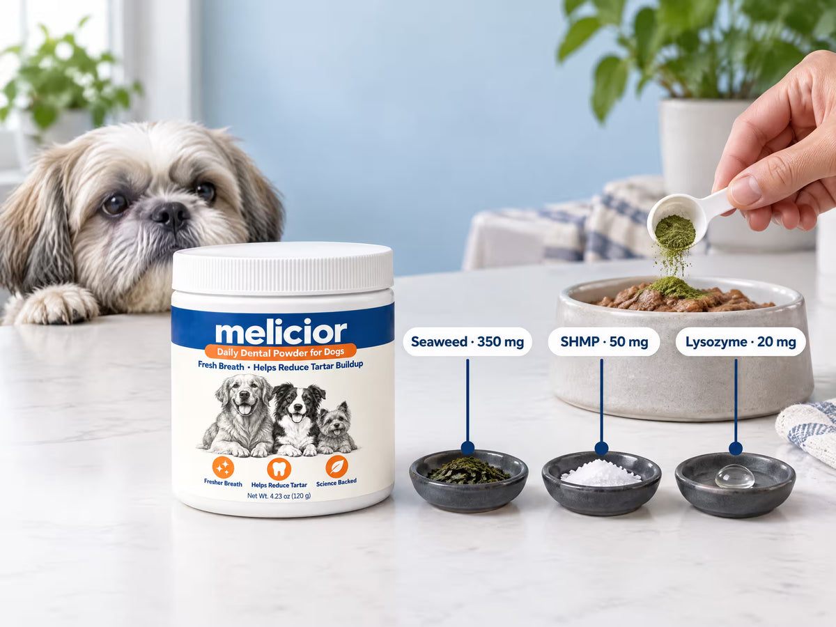 The Melicior jar with seaweed, SHMP and lysozyme