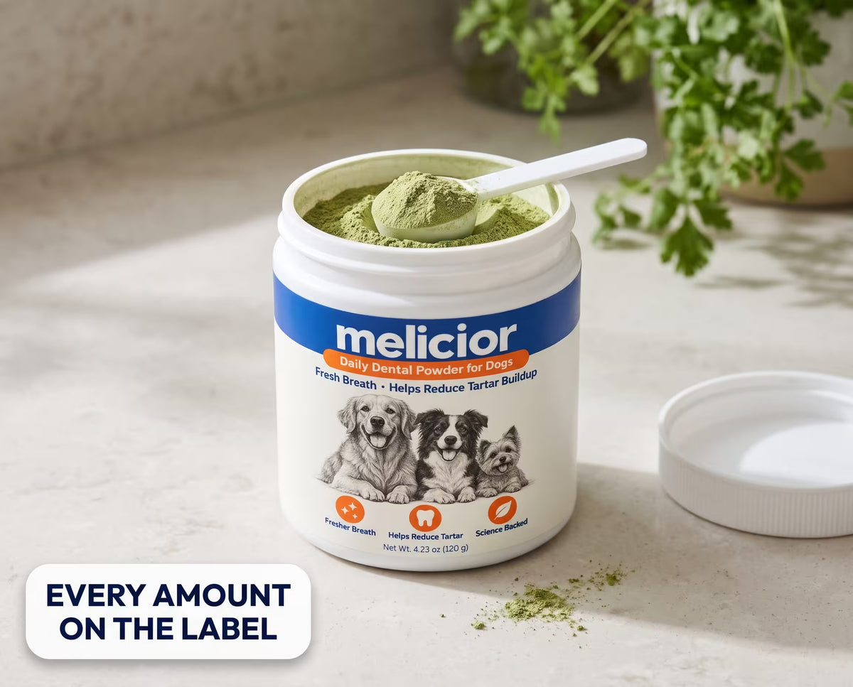 The open Melicior jar with its scoop of powder