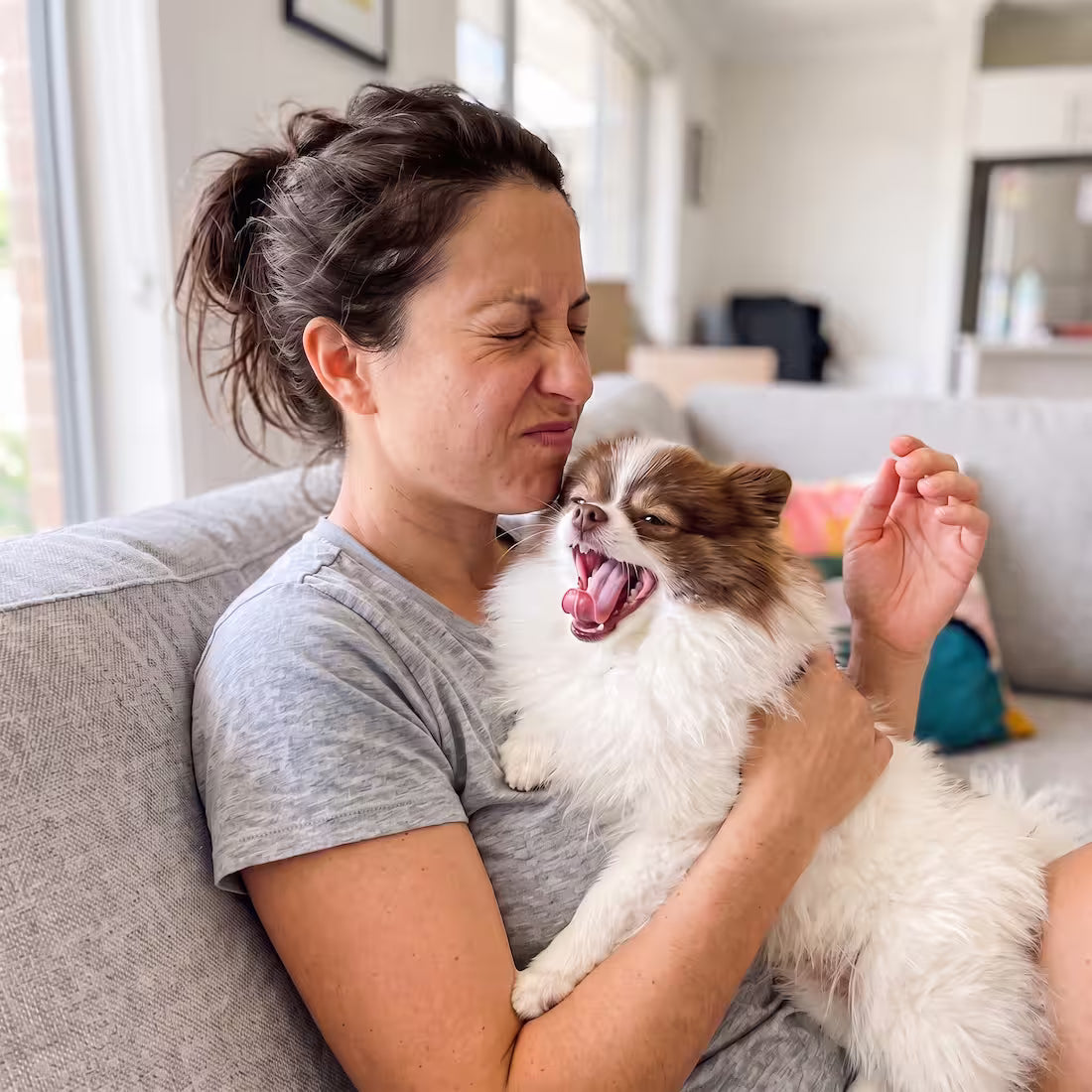 A woman winces as her Pomeranian yawns right under her chin