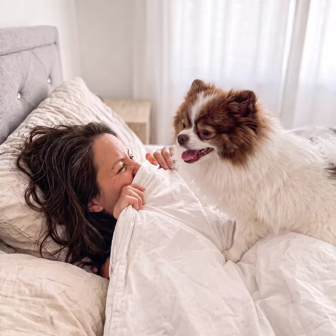 In the morning, a woman pulls the duvet over her nose as her dog leans in