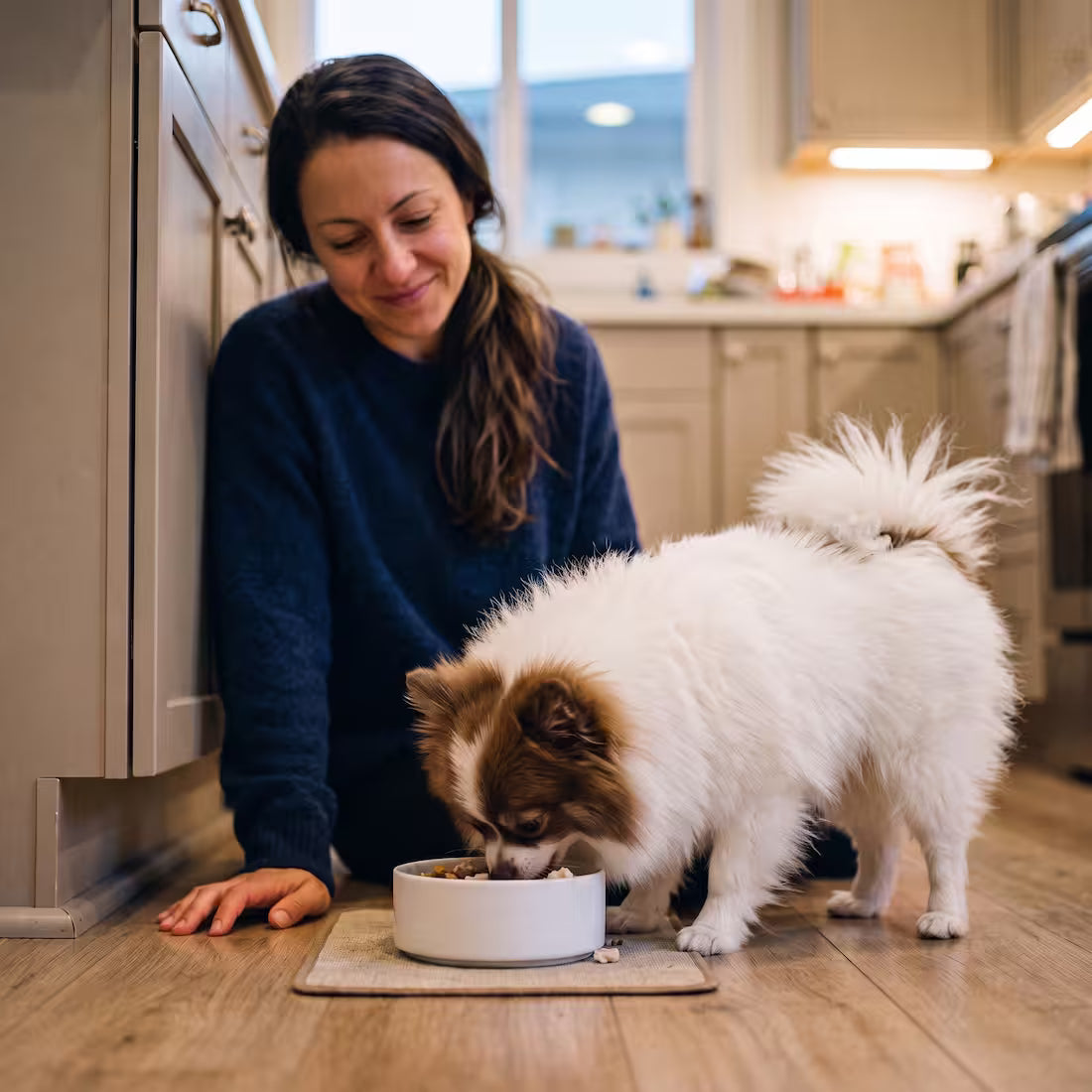 A small dog eats dinner while its owner sits beside him smiling