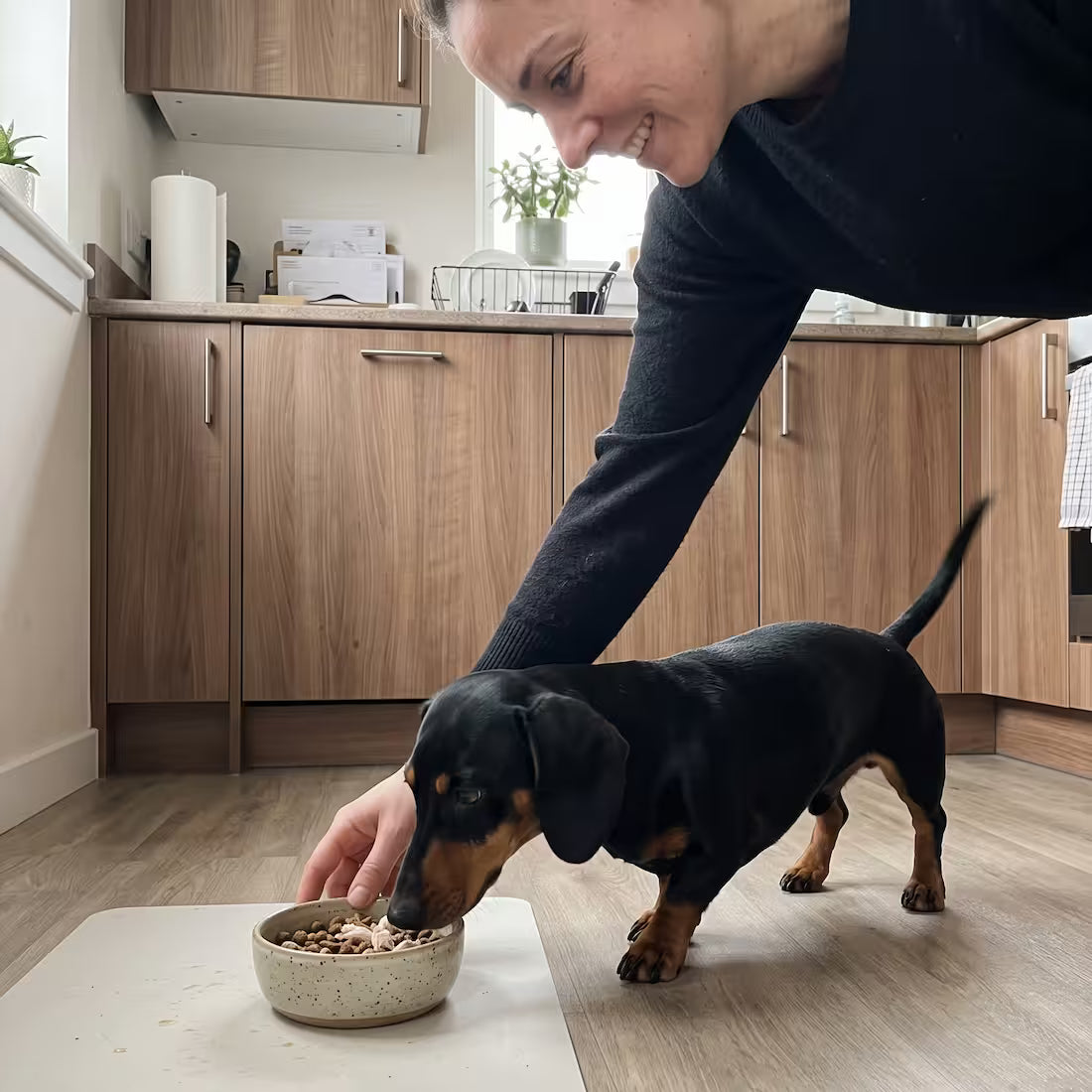 A woman sets down dinner as her dachshund dives into the bowl